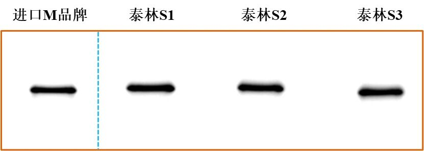 17726052816857748kt3.png ͼƬ7.png