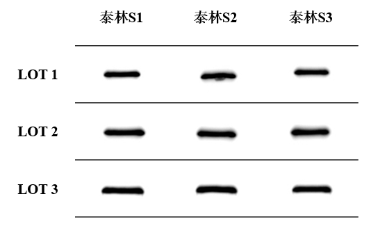 1772605300537349i9y8.png ͼƬ9.png